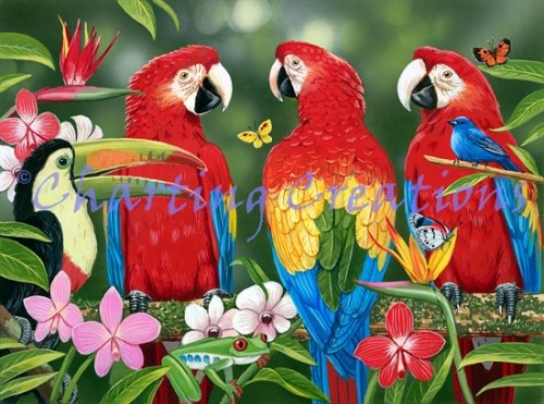 (image for) Tropical Friends